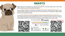 Load image into Gallery viewer, Bailey&#39;s CBD Oil For Dogs | 300MG 30ML Standard Size Bottle - Shire Leaf
